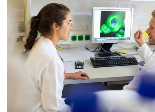 A female and a male researcher discuss cells shown on a screen in the background