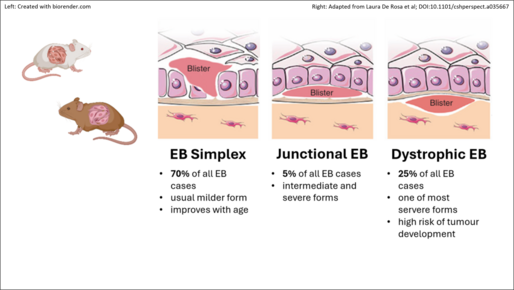 EB RI Open Innovation Platform In Vivo Expertise